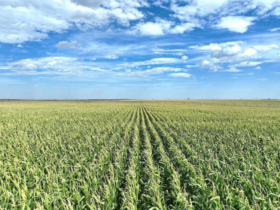 Land in Goodland, Kansas, United States 2 - 18823138
