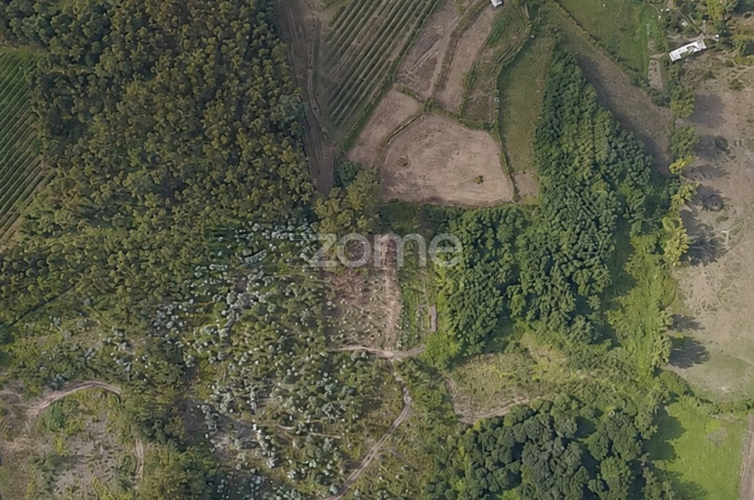 Land in Ribeira do Neiva, Braga, Portugal 4 - 18825392