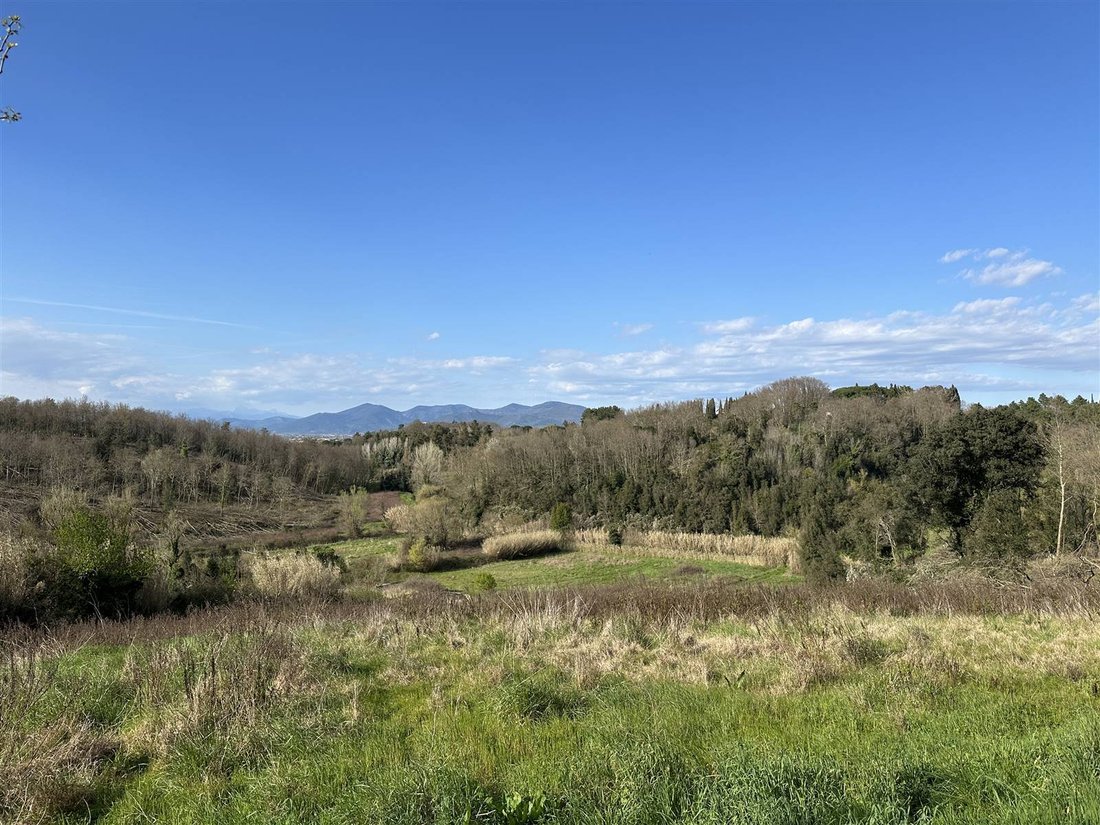 Anwesen in Fauglia, Toskana, Italien 4 - 18821439