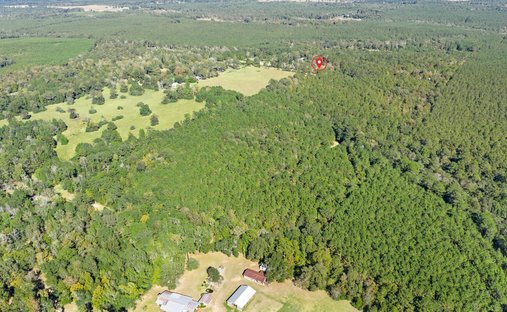 House in Woodville, Texas, United States 1
