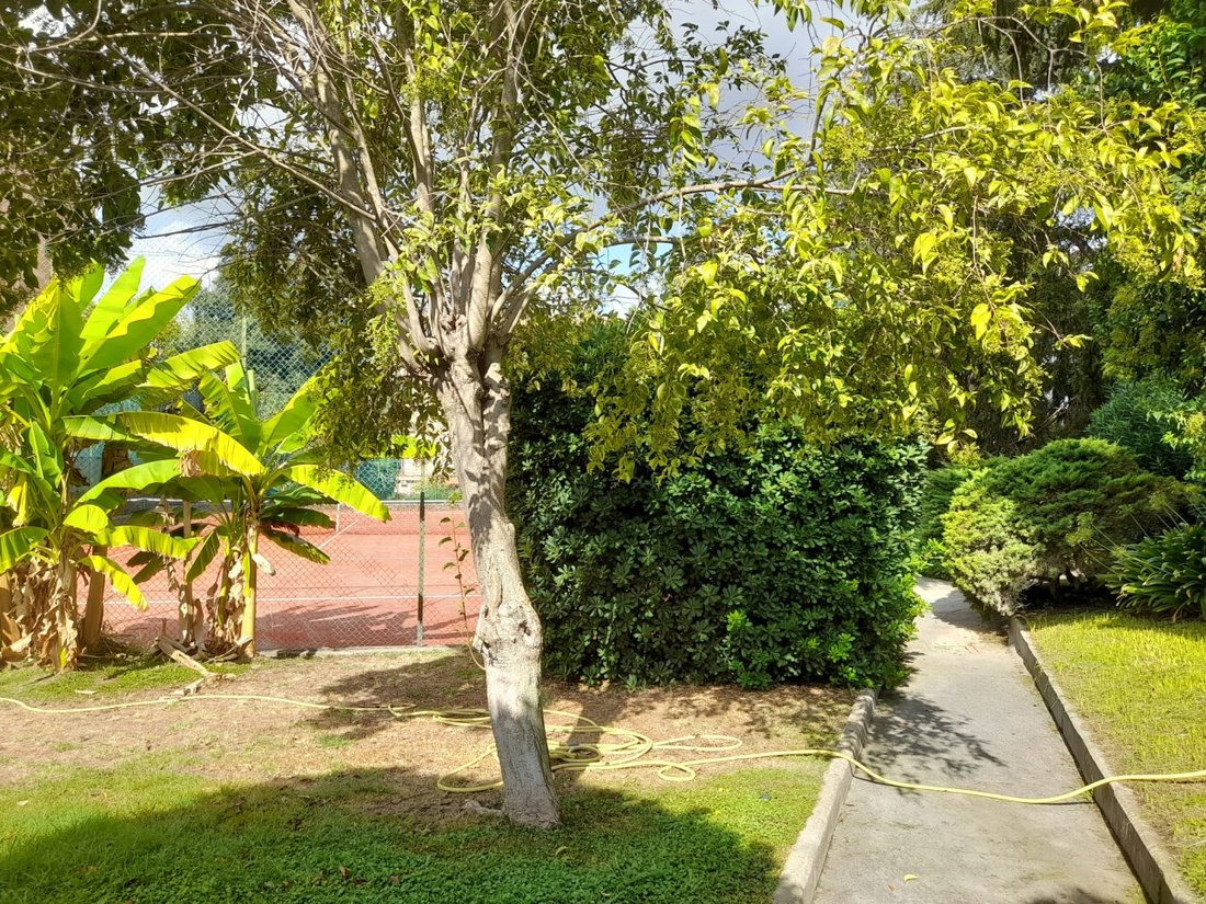 Apartamento en La Pisana - Casetta Mattei, Roma, Lacio 4 - 18825466