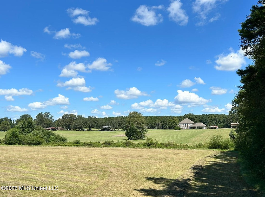 House in Bogue Chitto, Mississippi, United States 4 - 18786272