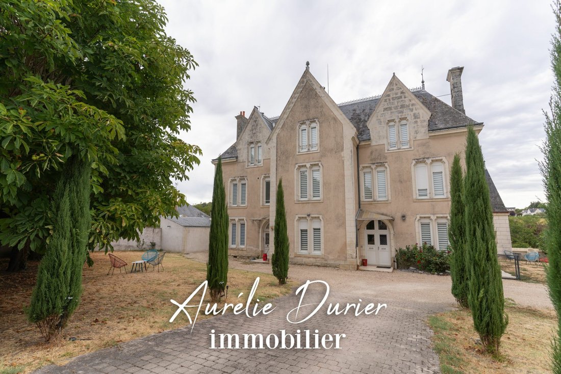 Domaine à Cravant-les-Côteaux, Centre-Val de Loire, France 1 - 18824967