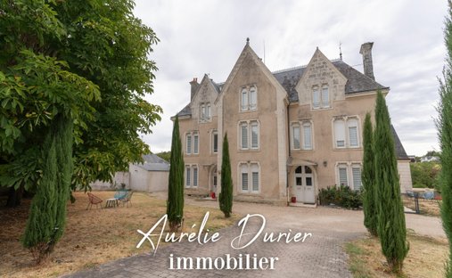 Domaine à Cravant-les-Côteaux, Centre-Val de Loire, France 1