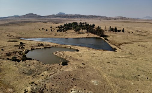 Corps de ferme en Municipalité locale de Mantsopa, État Libre, Afrique du Sud 1