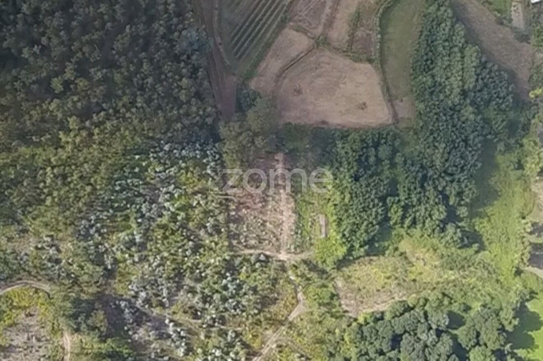 Land in Ribeira do Neiva, Braga, Portugal 2 - 18825392