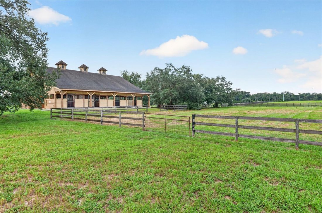 Farm Ranch in Ocala, Florida, Vereinigte Staaten 5 - 18824057