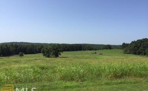 Azienda agricola a Jefferson, Georgia, Stati Uniti 1