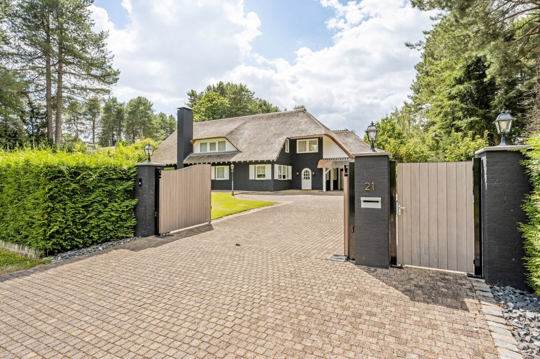 Villa in Pelt, Flämische Region, Belgien 1 - 18828064