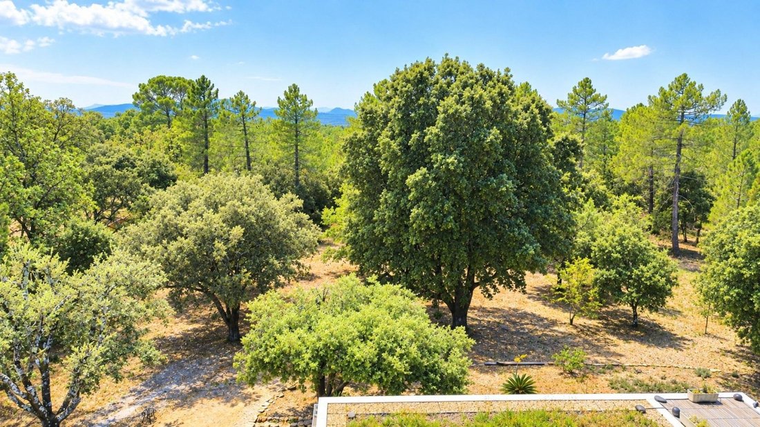 Maison à Régusse, Provence-Alpes-Côte d'Azur, France 3 - 18828907