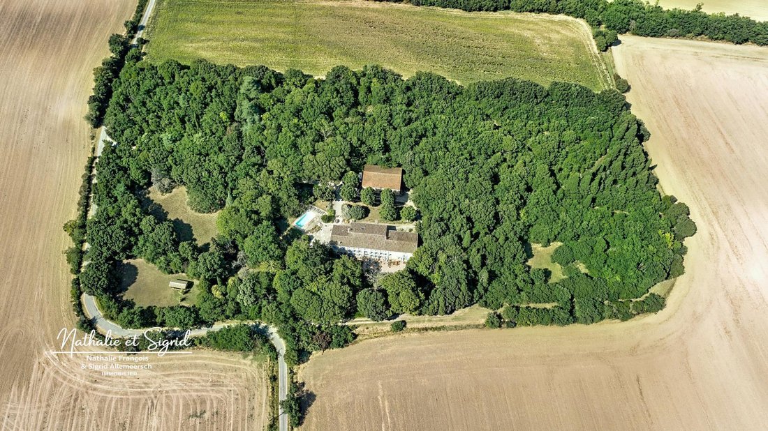 Haus in Lasbordes, Okzitanien, Frankreich 4 - 18828908