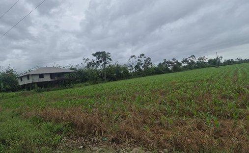 House in Febres Cordero, Los Rios, Ecuador 1