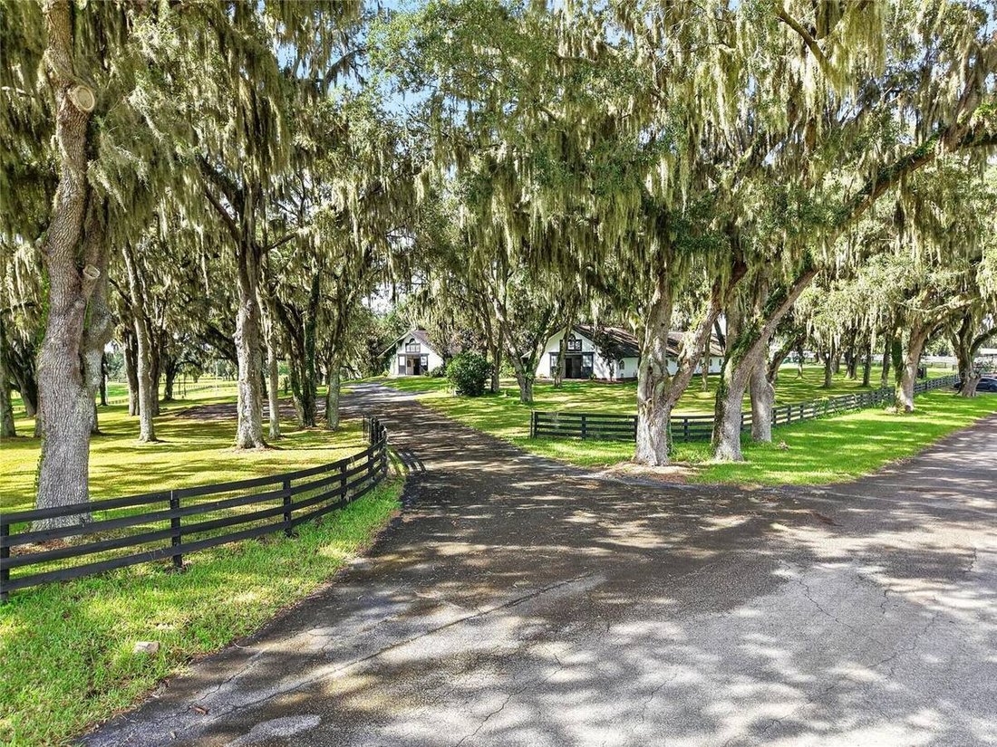 House in The Villages, Florida, United States 4 - 16498949