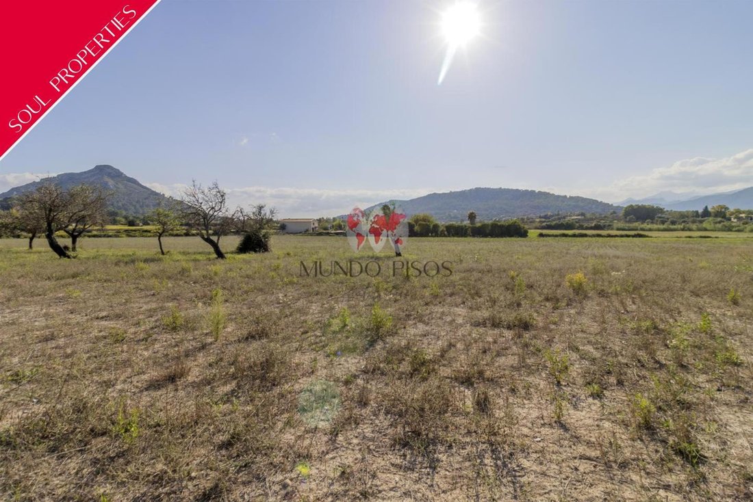 Terreno en Alcudia, Islas Baleares, España 1 - 18830216