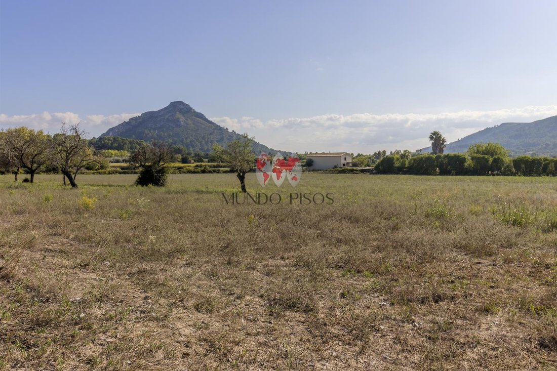 Terreno en Alcudia, Islas Baleares, España 4 - 18830216