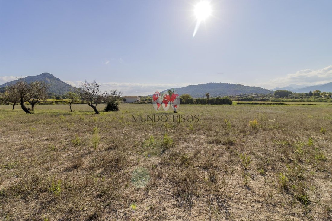 Terreno en Alcudia, Islas Baleares, España 2 - 18830216