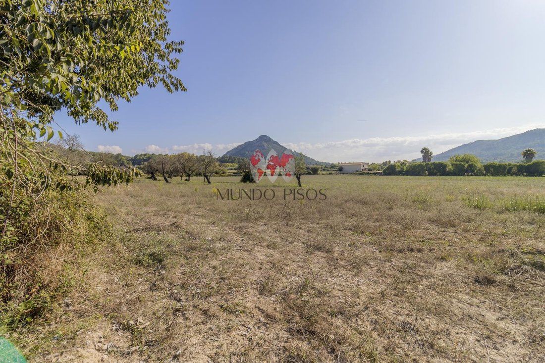 Terreno en Alcudia, Islas Baleares, España 3 - 18830216