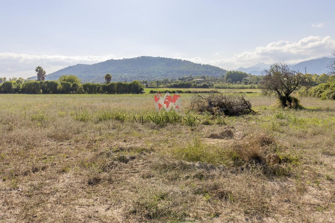 Terreno en Alcudia, Islas Baleares, España 5 - 18830216