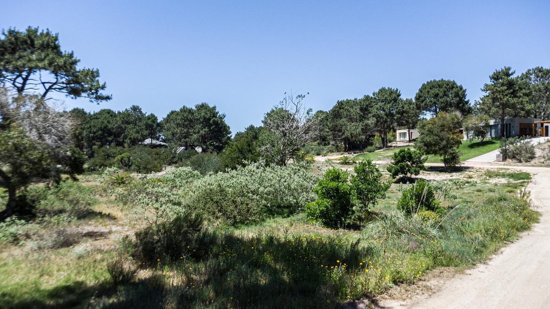 Terreno a Arenas de José Ignacio, Dipartimento di Maldonado, Uruguay 4 - 18829036