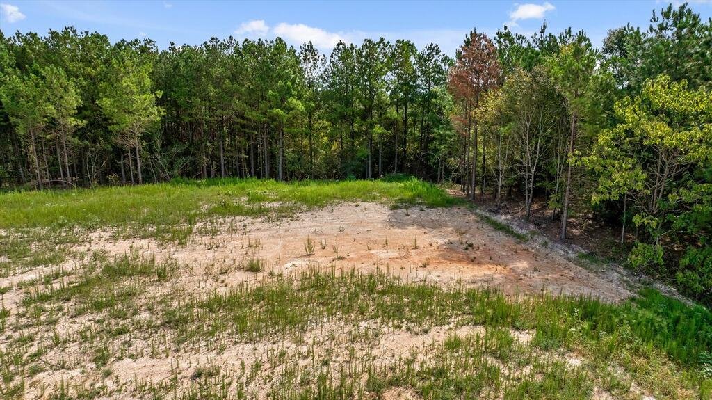 Land in Tunnel Hill, Georgia, United States 5 - 18830285