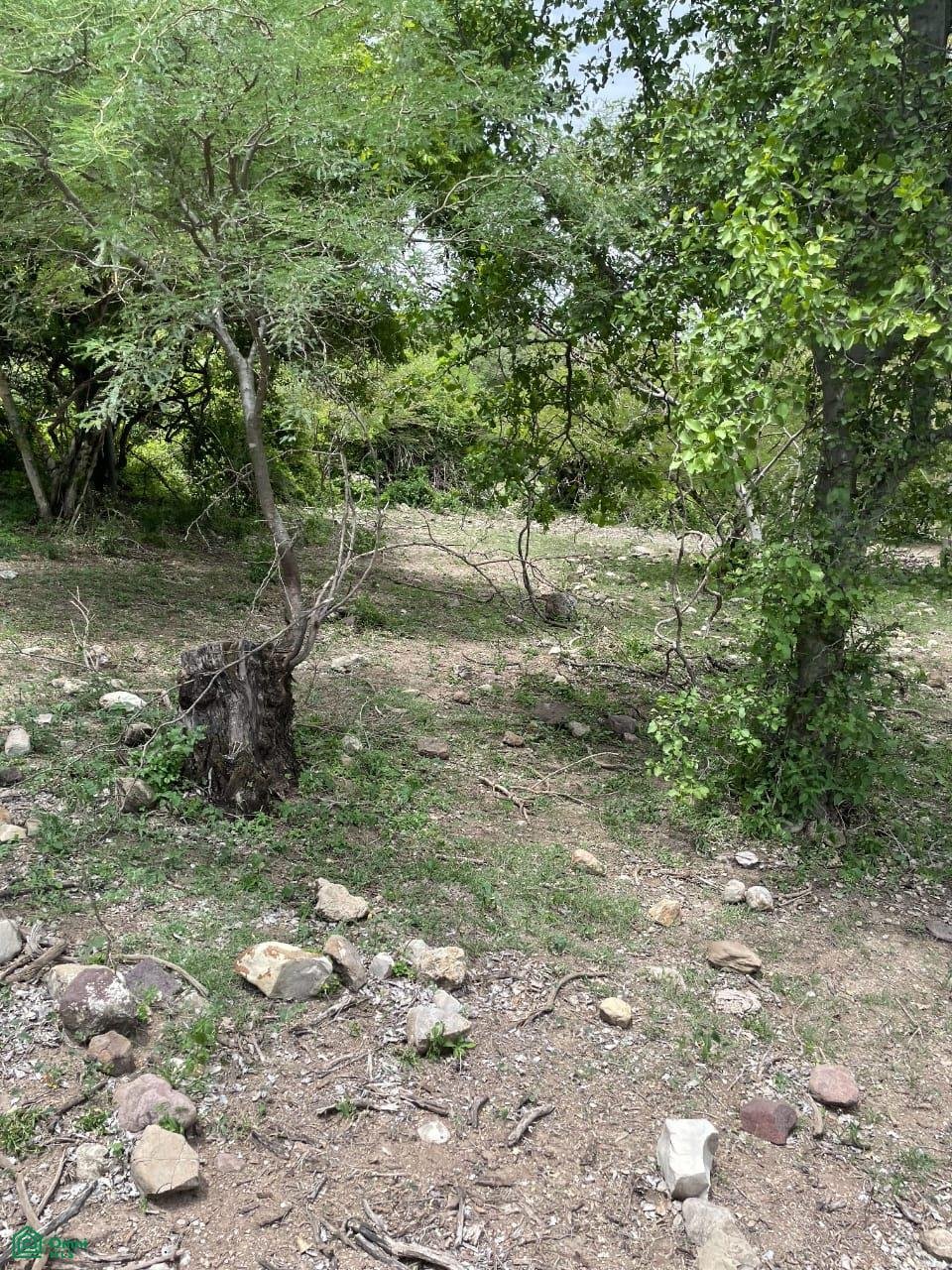 Land in Chietla, Puebla, Mexico 2 - 18830012
