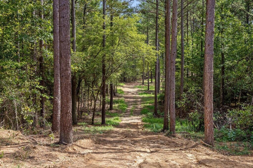 Land in Tunnel Hill, Georgia, United States 4 - 18830285