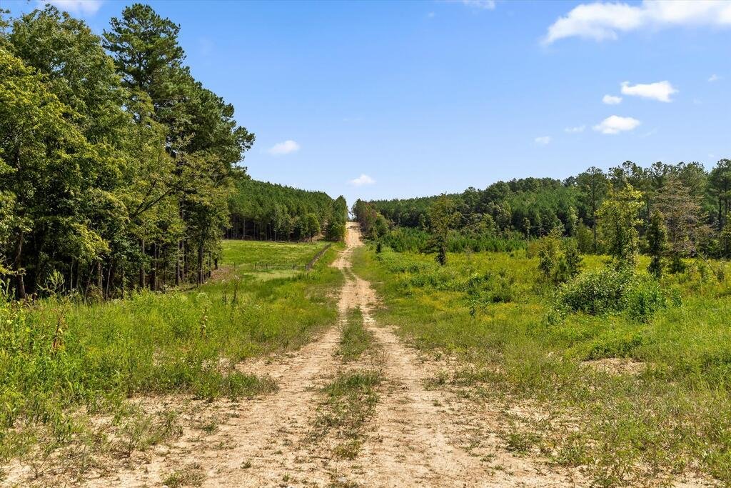 Land in Tunnel Hill, Georgia, United States 2 - 18830285