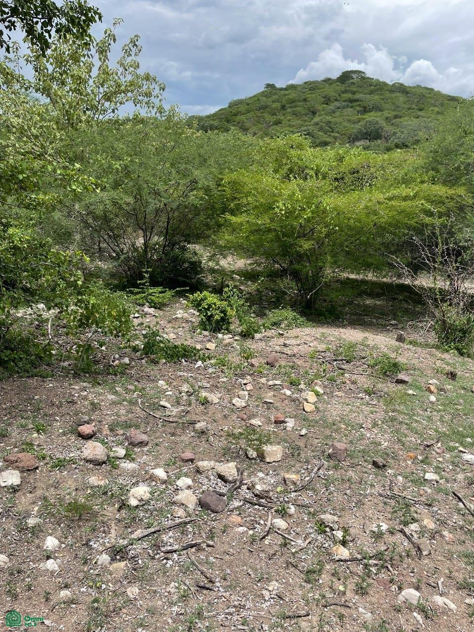 Land in Chietla, Puebla, Mexico 3 - 18830012