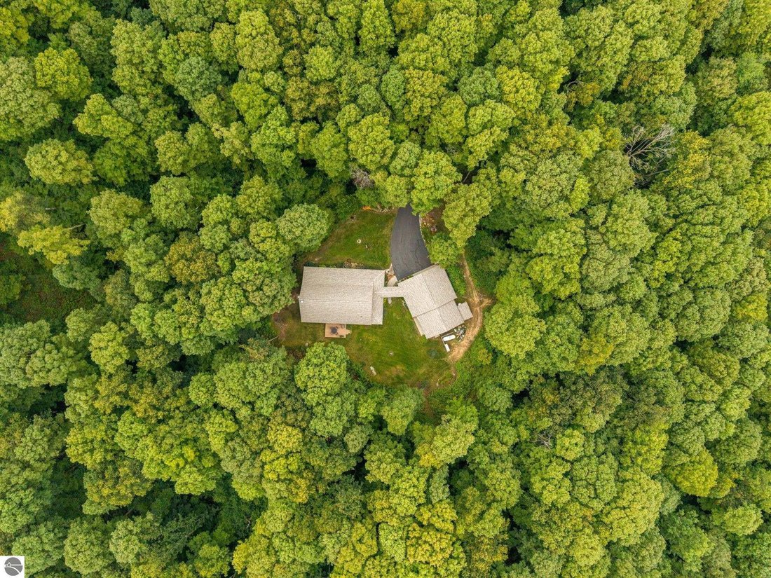 House in Central Lake, Michigan, United States 3 - 18829082