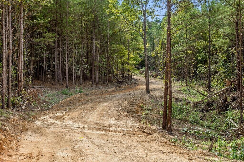 Land in Tunnel Hill, Georgia, United States 3 - 18830285