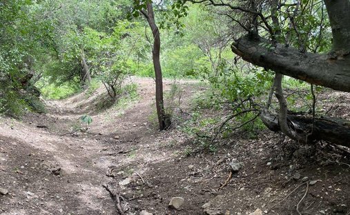 Land in Chietla, Puebla, Mexiko 1