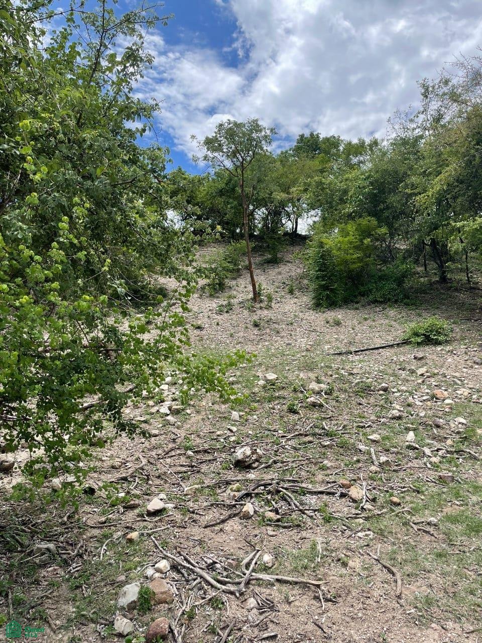 Land in Chietla, Puebla, Mexico 5 - 18830012