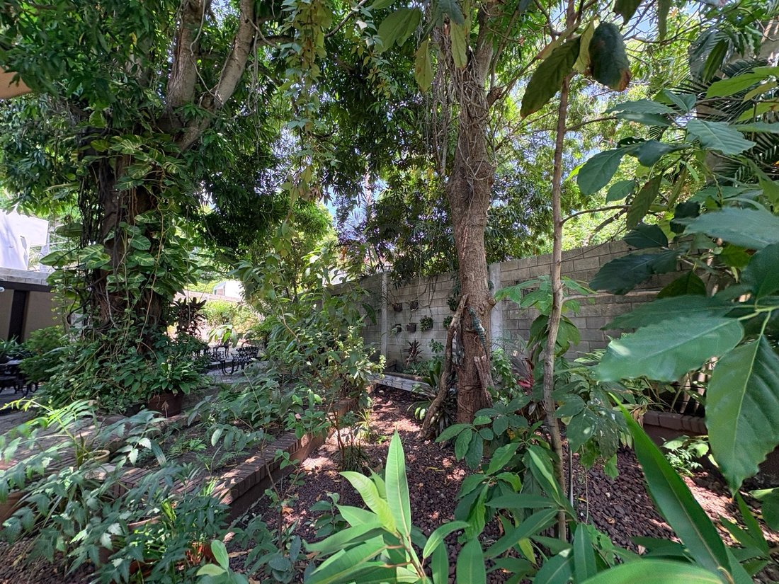 Haus in Tampico, Tamaulipas, Mexiko 5 - 18831461