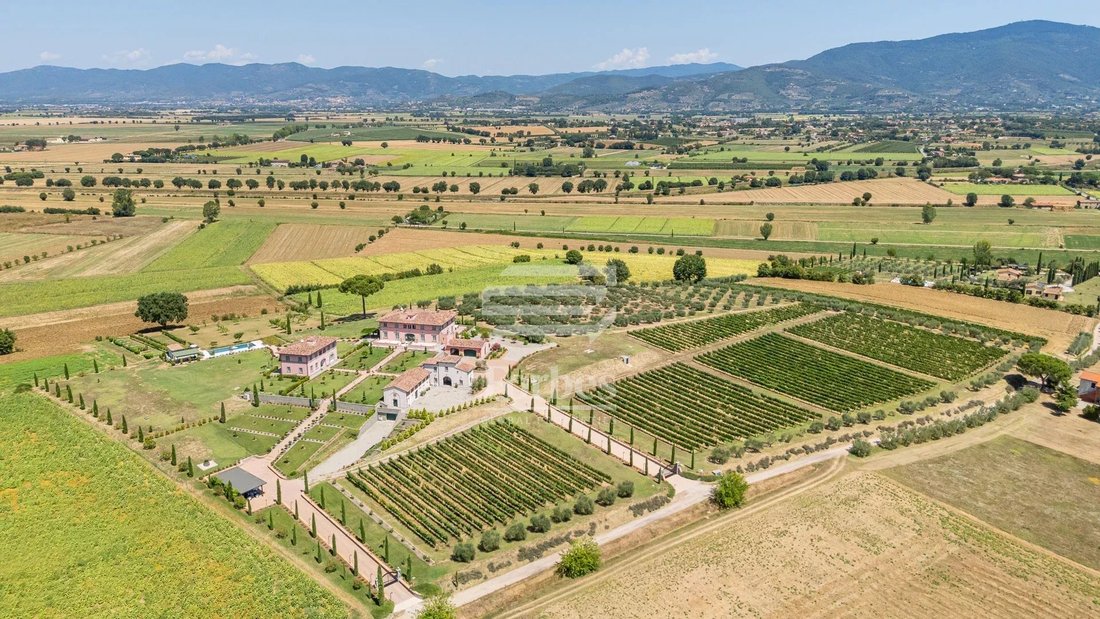 Apartamento en Cegliolo - Torreone - Portole, Cortona, Toscana 4 - 18831282