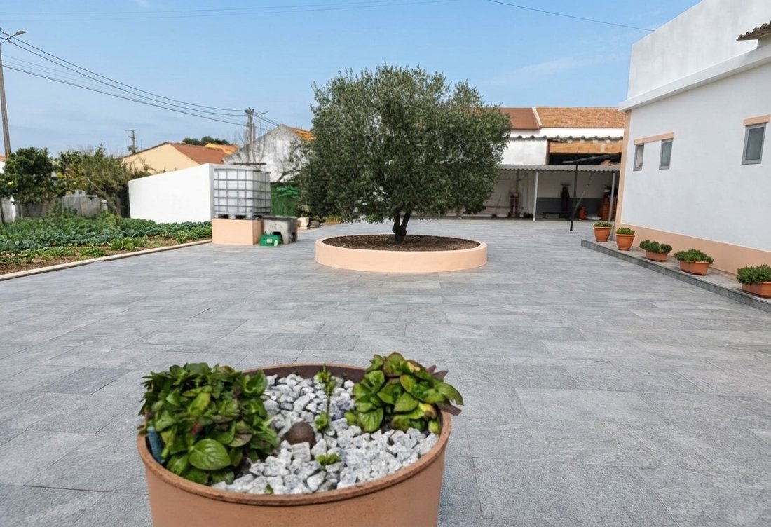 Finca à Palmela, Setúbal Municipality, Portugal 3 - 18737476