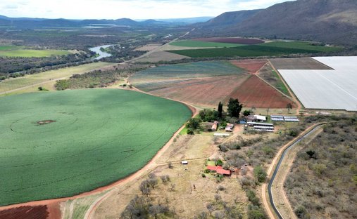 Azienda agricola a Municipalità locale di Steve Tshwete, Mpumalanga, Sudafrica 1