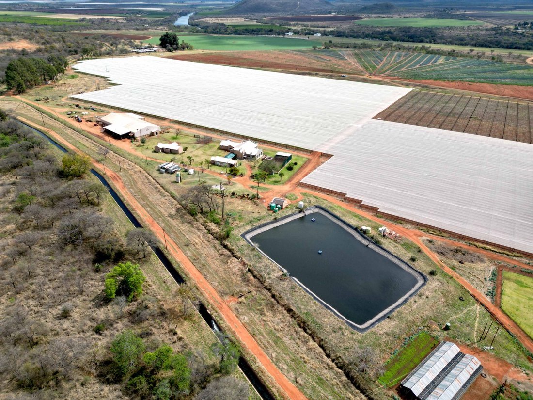 Farm Ranch in Steve Tshwete Local Municipality, Mpumalanga, South Africa 4 - 18834960