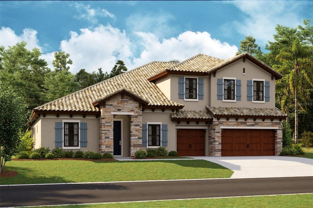 House in Lithia, Florida, United States 1 - 18832658