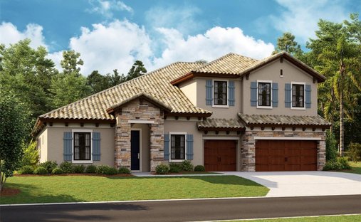 House in Lithia, Florida, United States 1