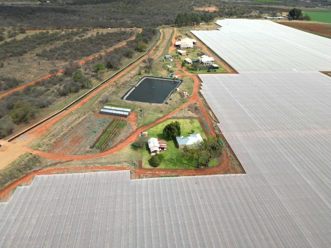 Farm Ranch in Steve Tshwete Local Municipality, Mpumalanga, South Africa 3 - 18834960