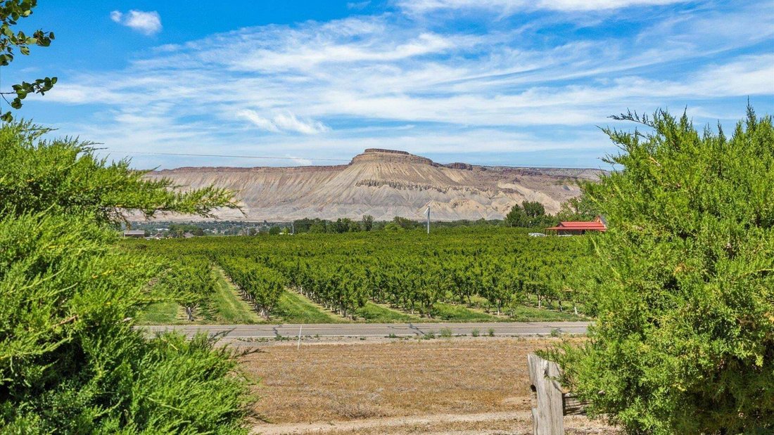 Casa a Palisade, Colorado, Stati Uniti 3 - 18832009