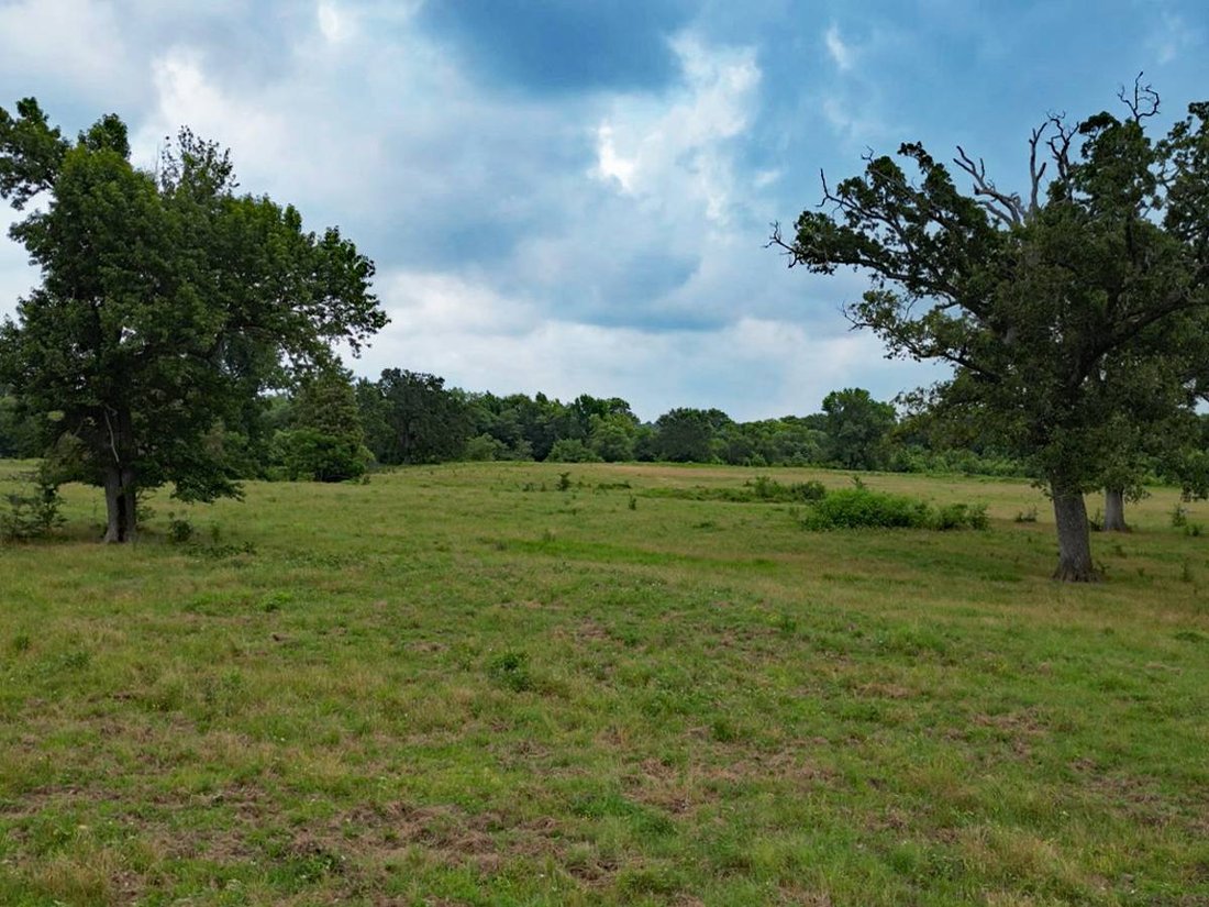 Land in Saltillo, Texas, United States 4 - 18832589