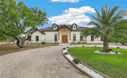 House in Elsa, Texas, United States 1