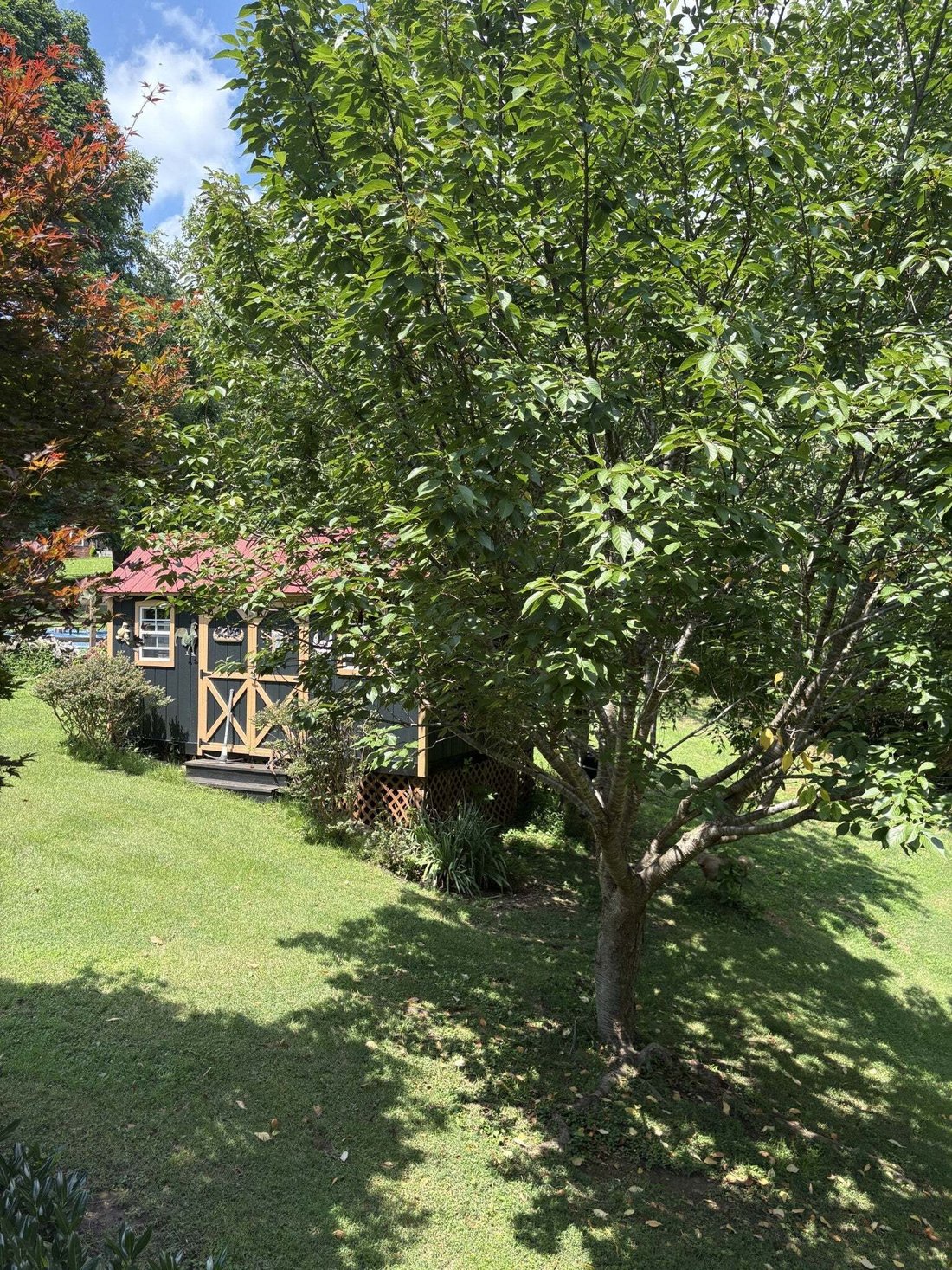 Haus in Williamson County, Tennessee, Vereinigte Staaten 5 - 18833548
