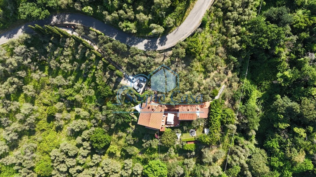 Villa in Casano - Annunziata, Casano, Liguria 5 - 18834560
