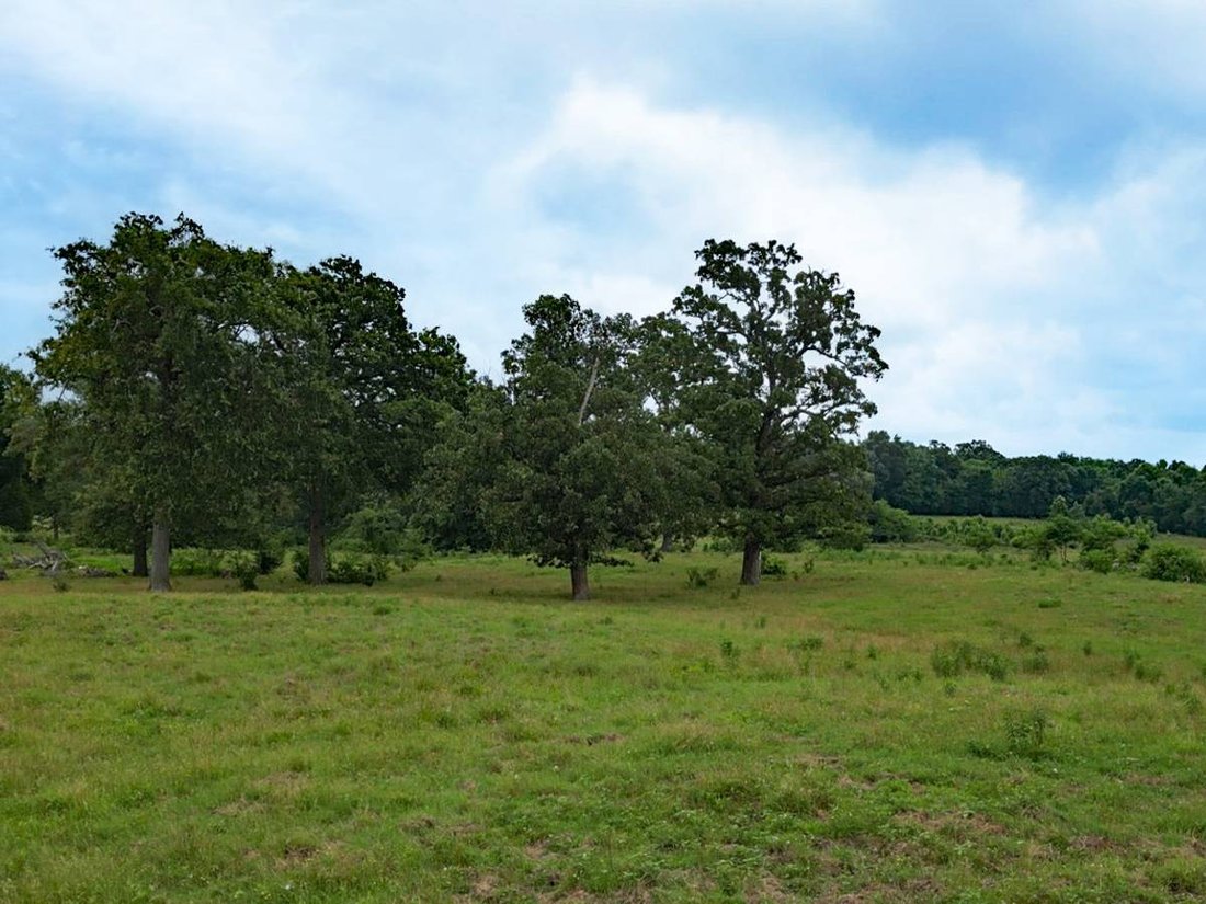 Land in Saltillo, Texas, United States 3 - 18832589