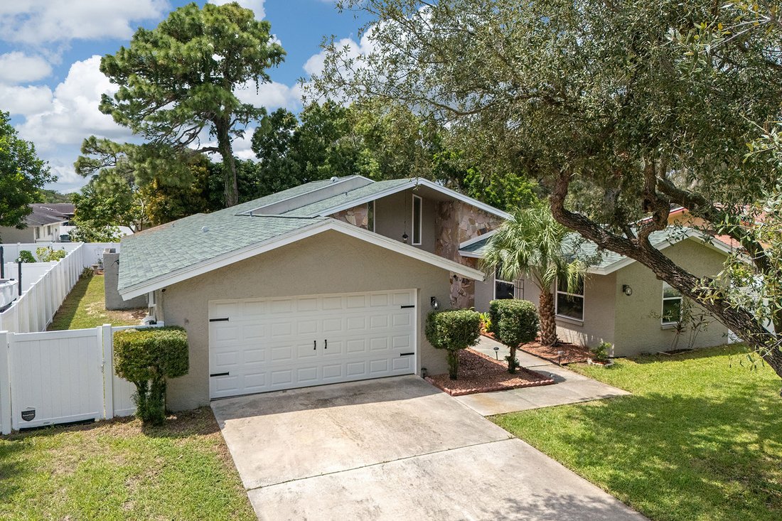 Haus in Tarpon Springs, Florida, Vereinigte Staaten 2 - 18831325