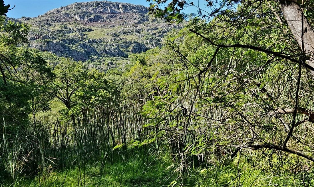 Rancho en Vivo, Provincia de Limpopo, Sudáfrica 4 - 18831751