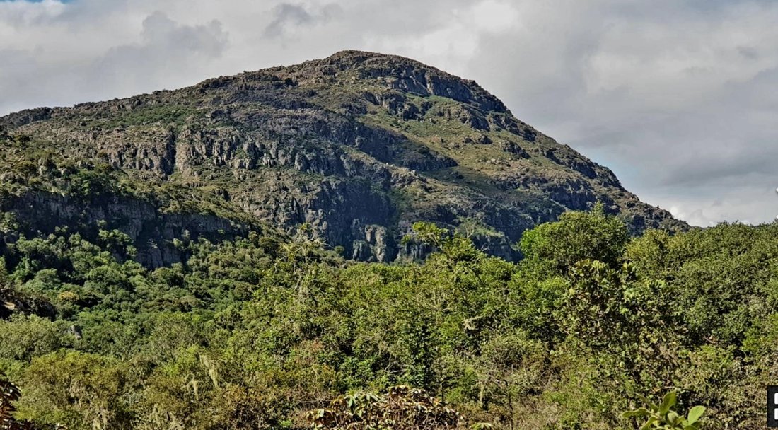 Rancho en Vivo, Provincia de Limpopo, Sudáfrica 5 - 18831751