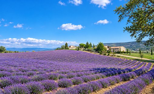 Villa à Viens, Provence-Alpes-Côte d'Azur, France 1